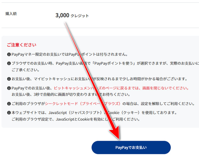 BitCash confirmation page with the PayPay payment button
