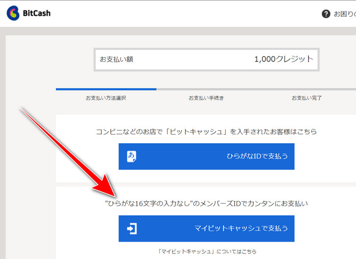 BitCash payment page: pay with My BitCash